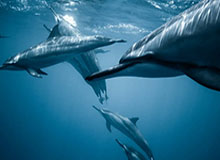 kaiyun-恩师眼中的向余望:从小自律铸就国足英雄|林林|青训|重庆铜梁龙足球俱乐部|李镇全|U23亚洲杯_新浪体育_新浪新闻